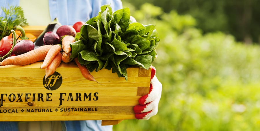 Purchase your fresh groceries online straight from the farm. Foxfire Farms: Local. Natural. Sustainable.